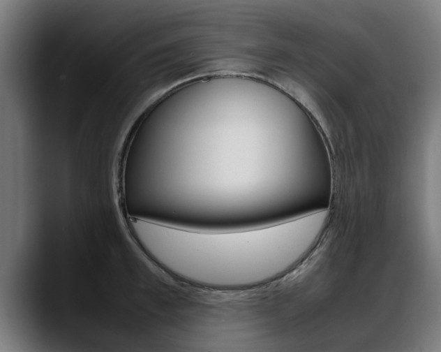 X0000088640997200705250915