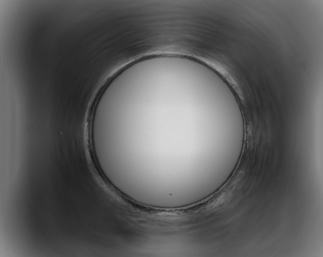 X0000088640998200705250915