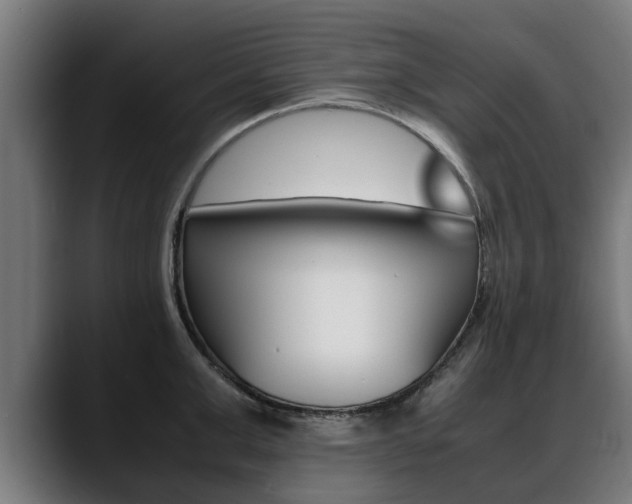 X0000088640999200705250915