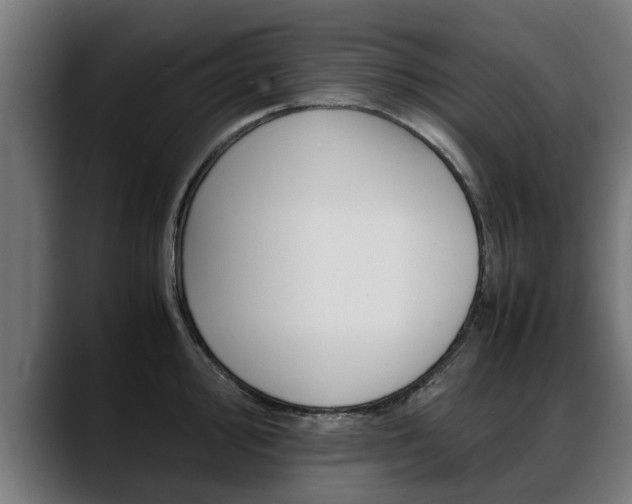X0000088641000200705250915