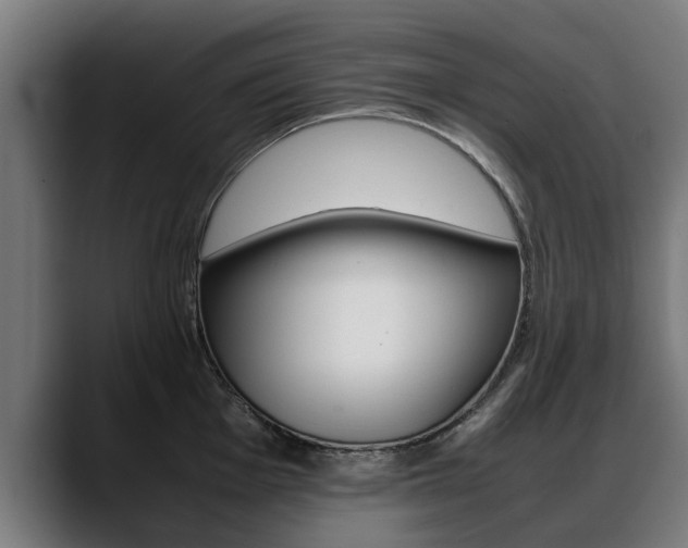 X0000088641001200705250915