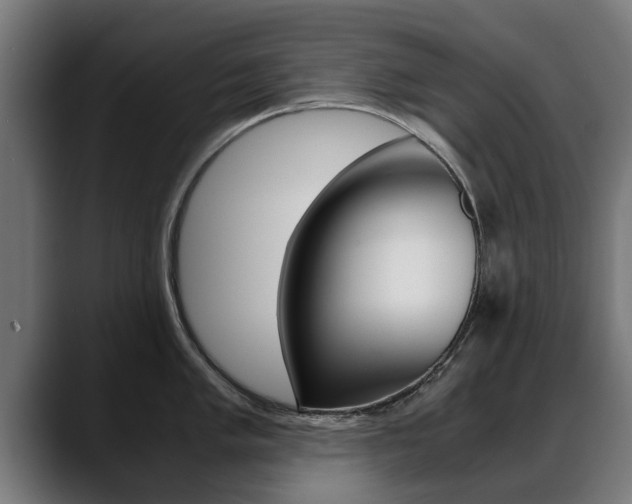X0000088641005200705250915
