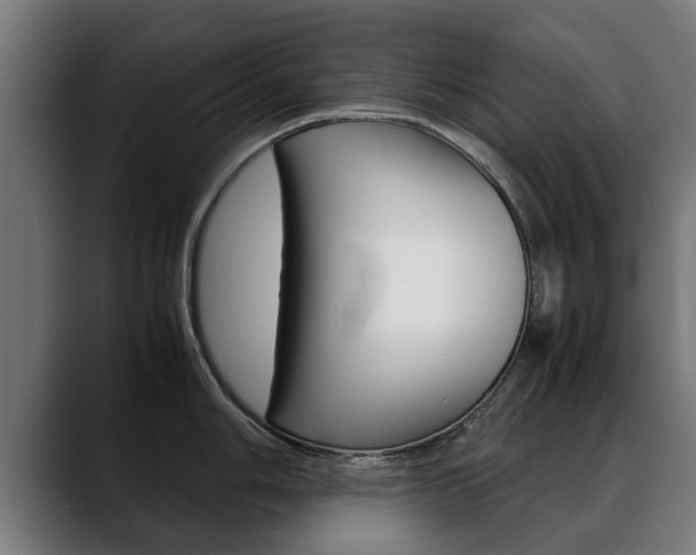 X0000088641006200705250915