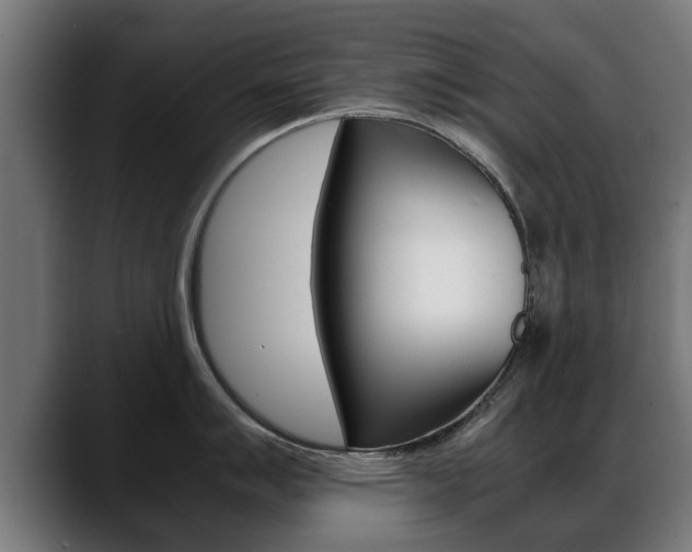 X0000088641007200705250915