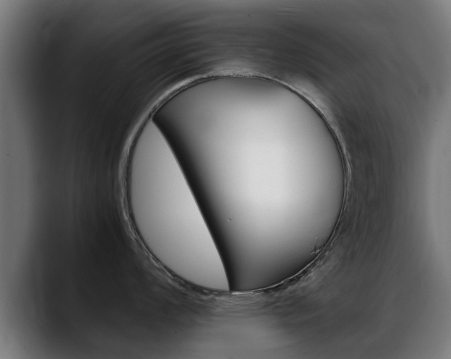 X0000088641008200705250915