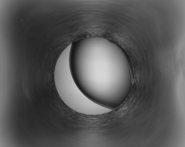 X0000088641010200705250914