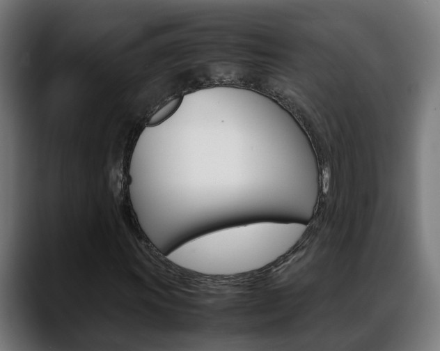 X0000088641011200705250914