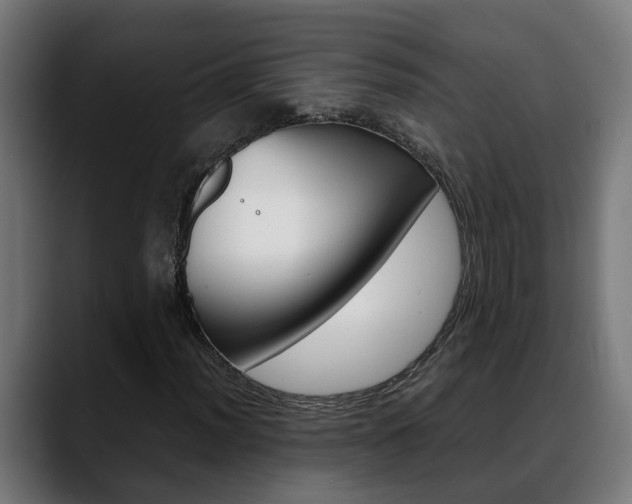 X0000088641012200705250914