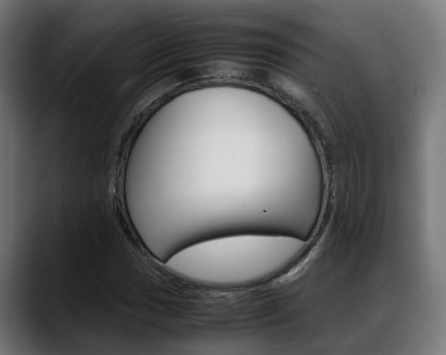 X0000088641017200705250914