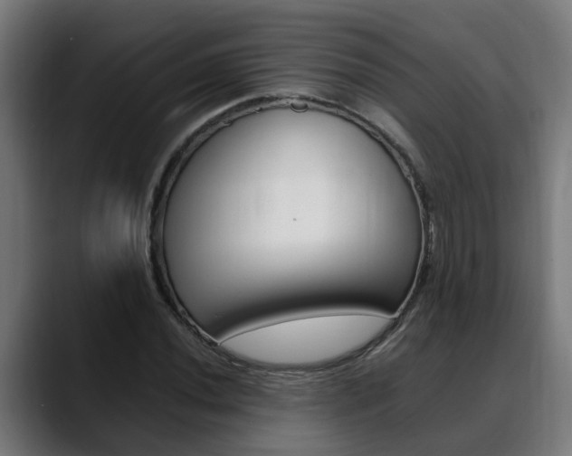 X0000088641020200705250914