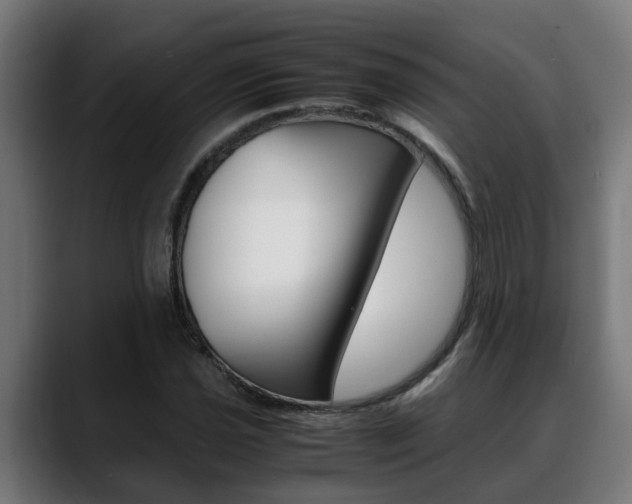 X0000088641021200705250914