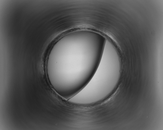 X0000088641022200705250914
