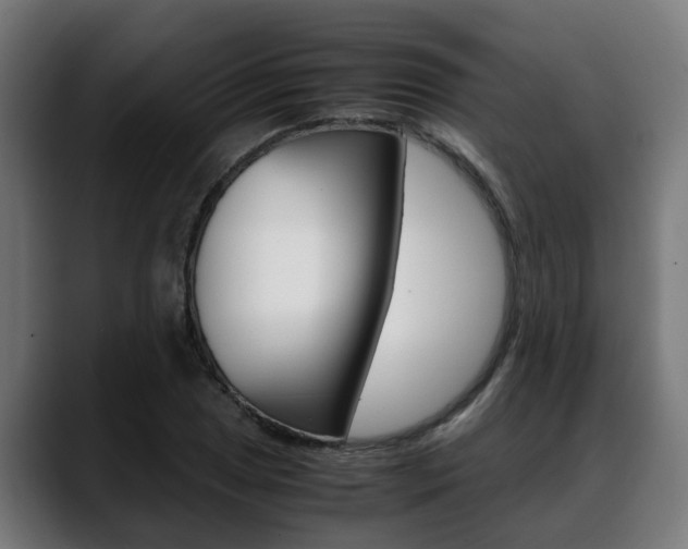 X0000088641025200705250914