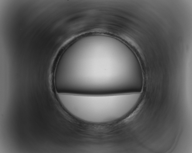 X0000088641029200705250914