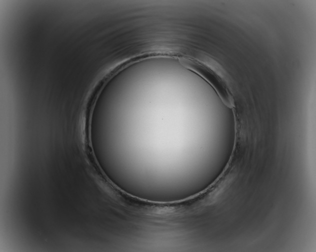 X0000088641030200705250914