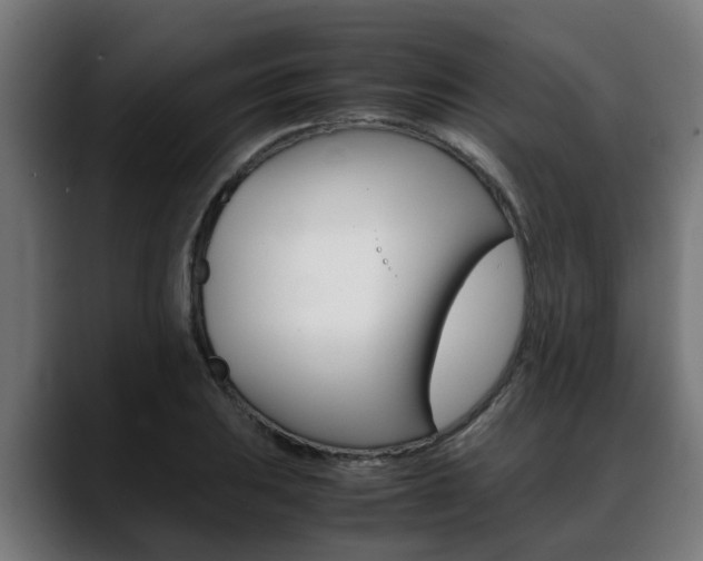 X0000088641031200705250914