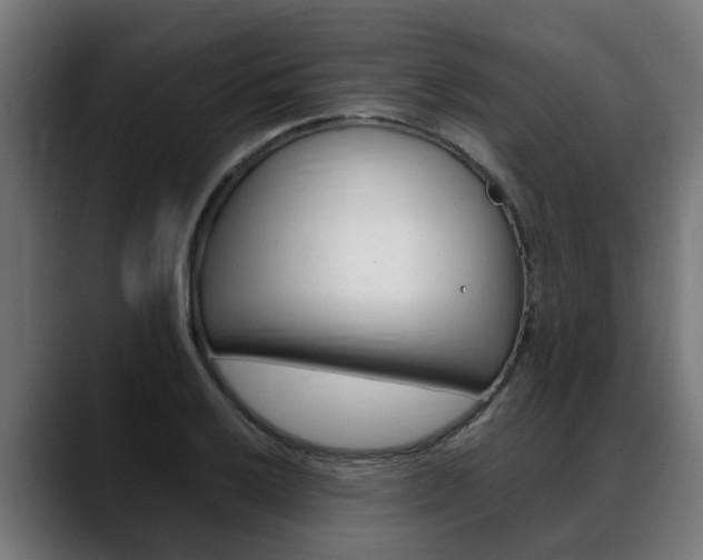 X0000088641032200705250914