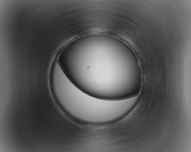 X0000088641034200705250914