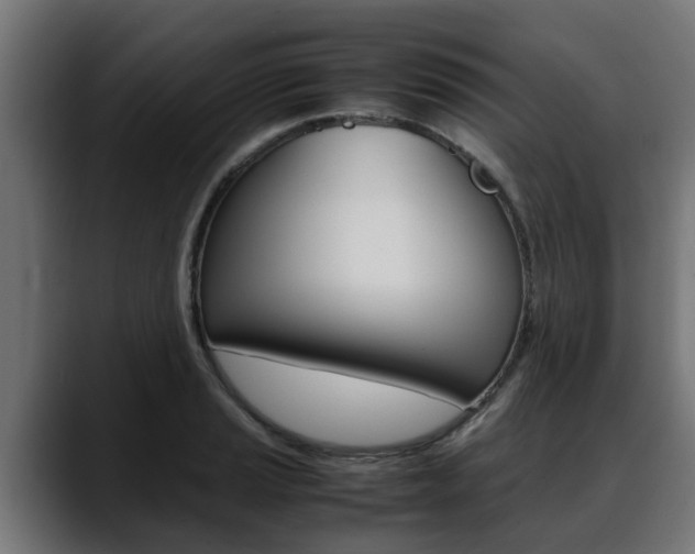 X0000088641037200705250914