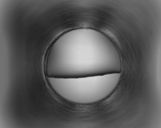 X0000088641039200705250914