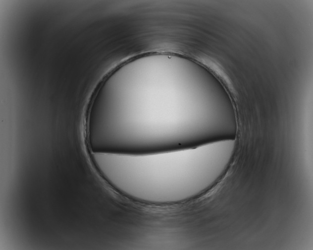 X0000088641040200705250914