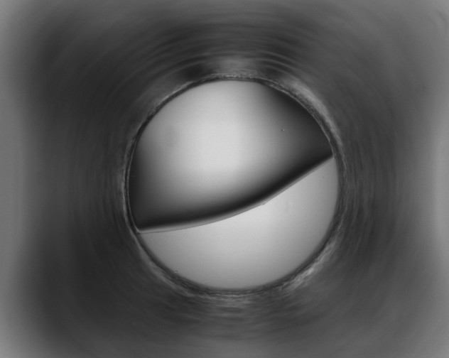 X0000088641041200705250914