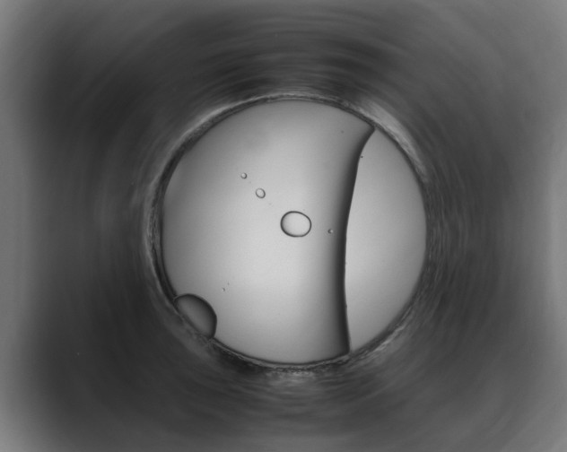 X0000088641043200705250914