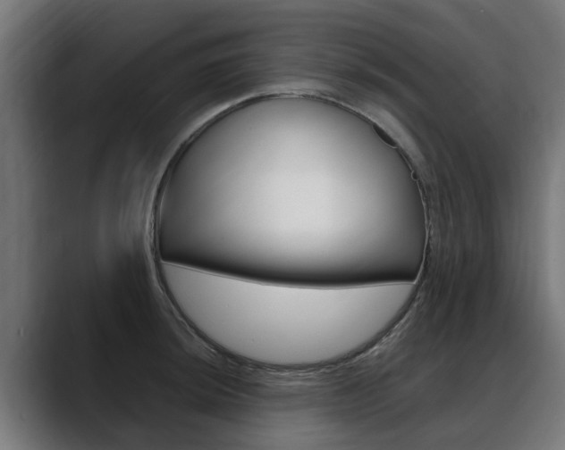 X0000088641044200705250914