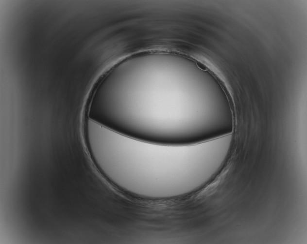 X0000088641045200705250914