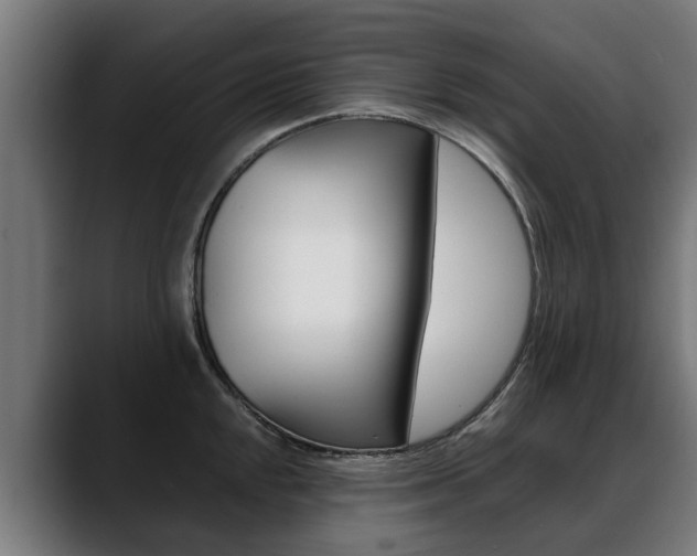 X0000088641048200705250915
