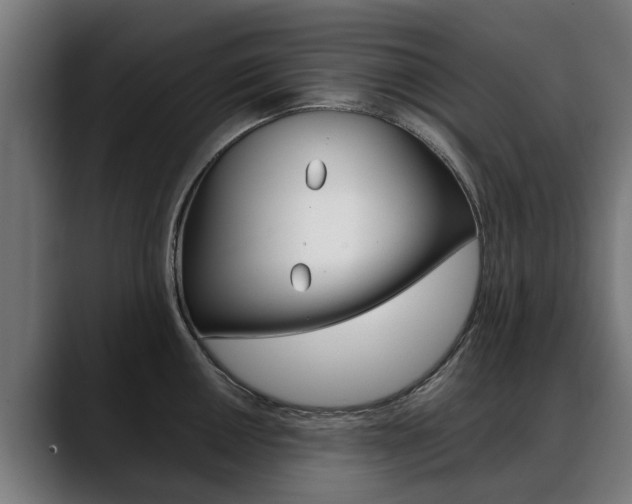 X0000088641050200705250915