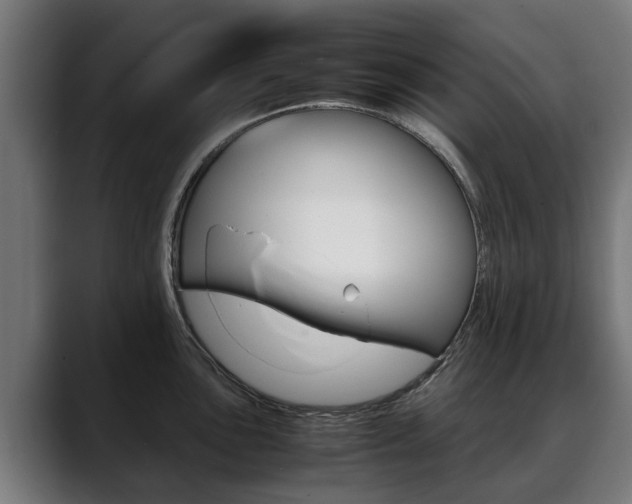 X0000088641051200705250915