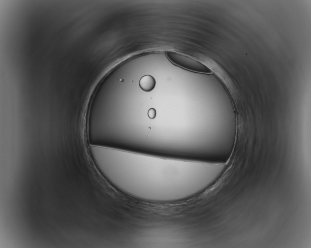 X0000088641052200705250915