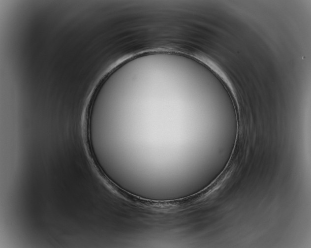 X0000088641053200705250915