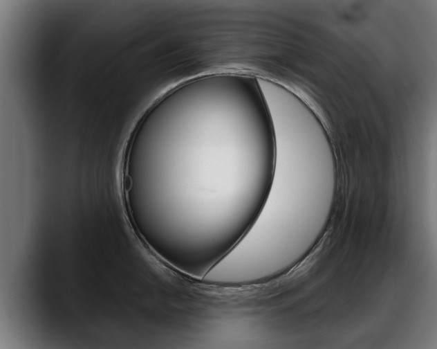 X0000088641054200705250915