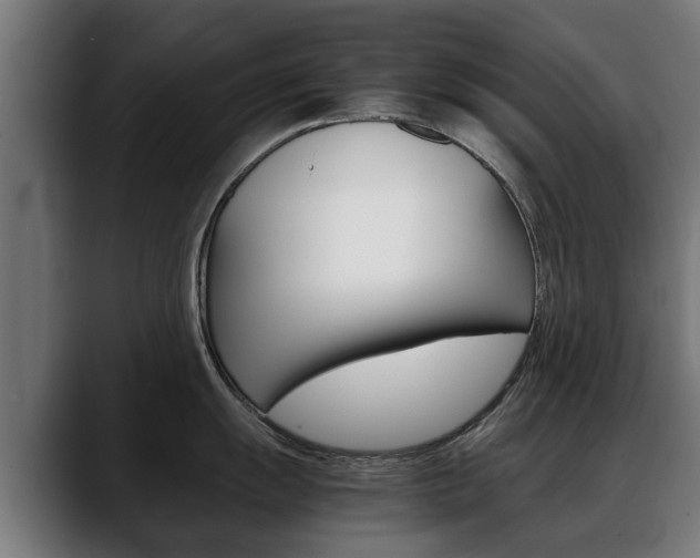 X0000088641055200705250915