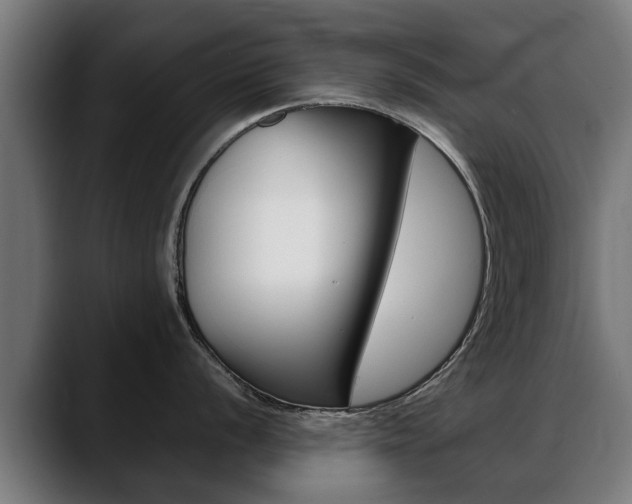 X0000088641056200705250915