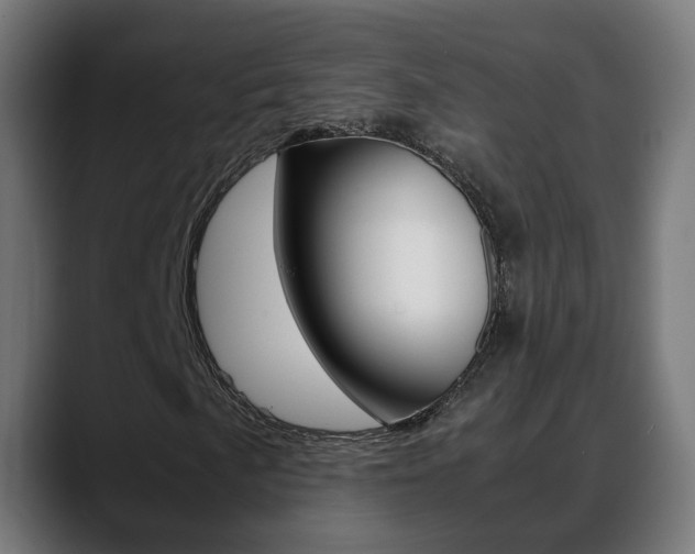 X0000088641057200705250914