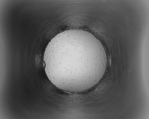 X0000088641059200705250914