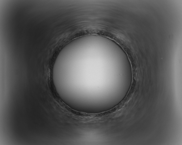 X0000088641061200705250914
