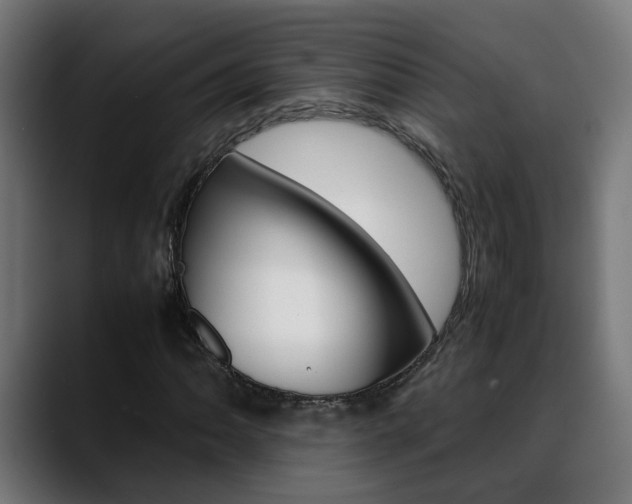 X0000088641062200705250914