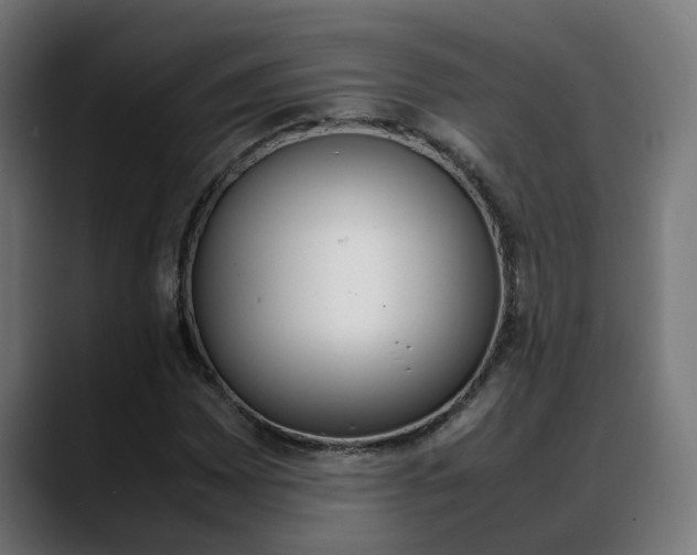 X0000088641065200705250914