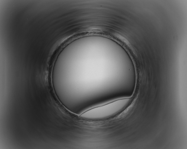 X0000088641066200705250914