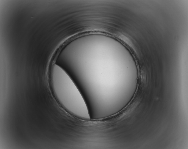 X0000088641068200705250914