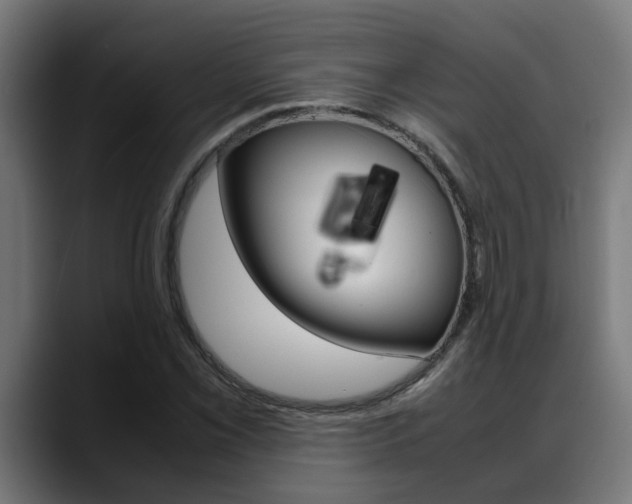 X0000088641069200705250914