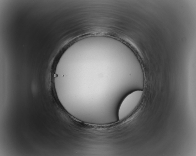 X0000088641075200705250914