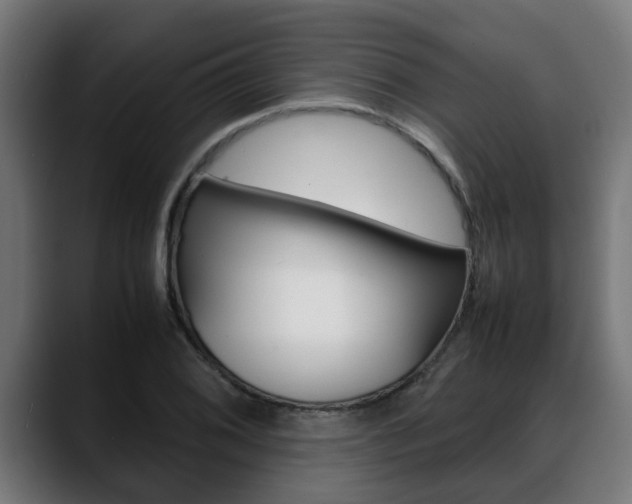 X0000088641076200705250914