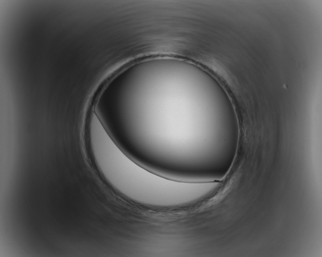 X0000088641077200705250914