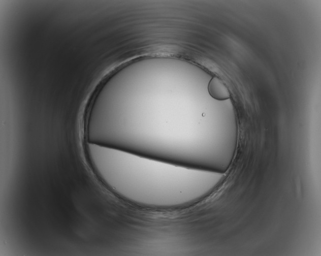 X0000088641083200705250914