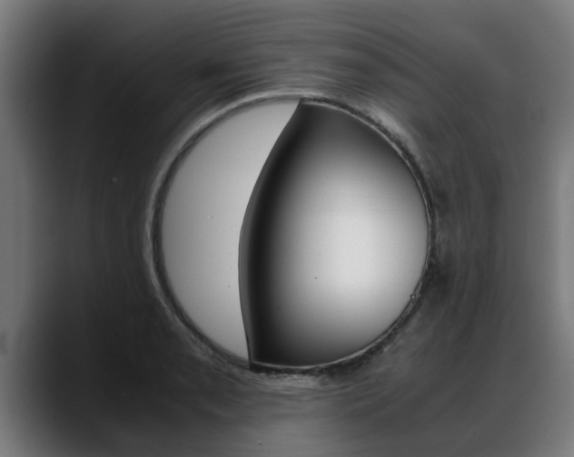 X0000088641085200705250914